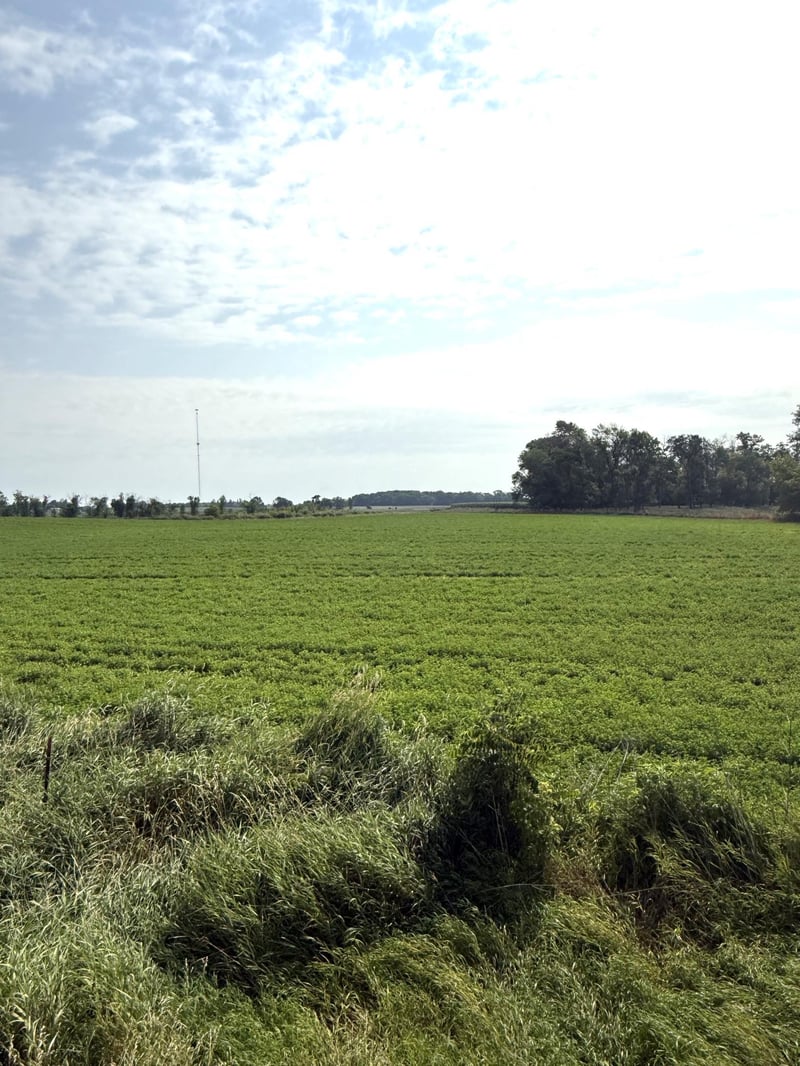TBD County Road 7, Howard Lake, MN 55349