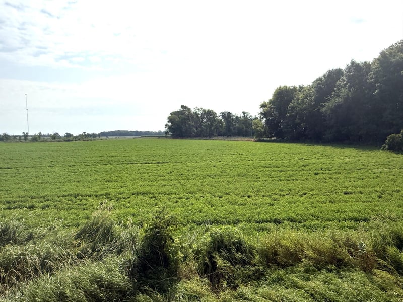 TBD County Road 7, Howard Lake, MN 55349