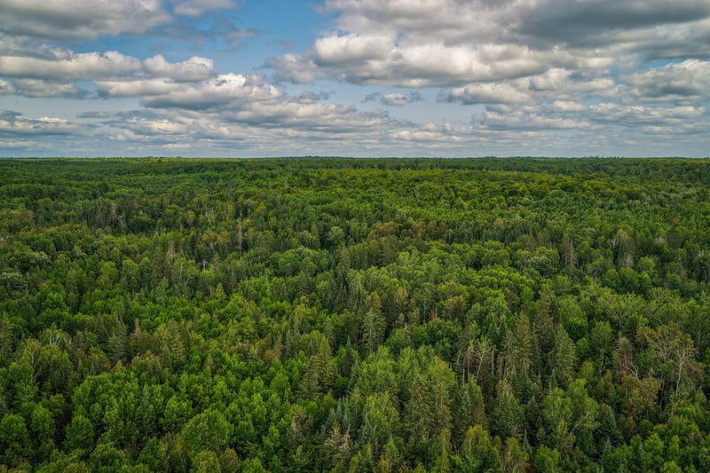 TBD 219th Ave, Bemidji, MN 56601