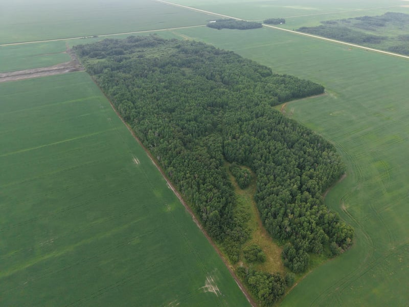 TBD 330th Ave NE, Goodridge, MN 56725