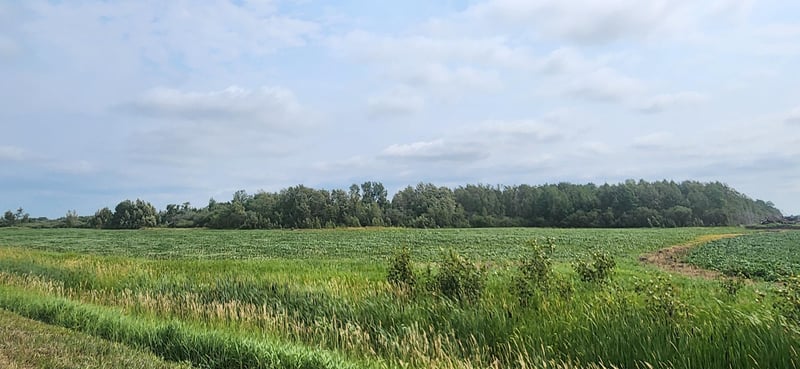 TBD 330th Ave NE, Goodridge, MN 56725