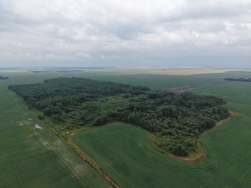 TBD 330th Ave NE, Goodridge, MN 56725