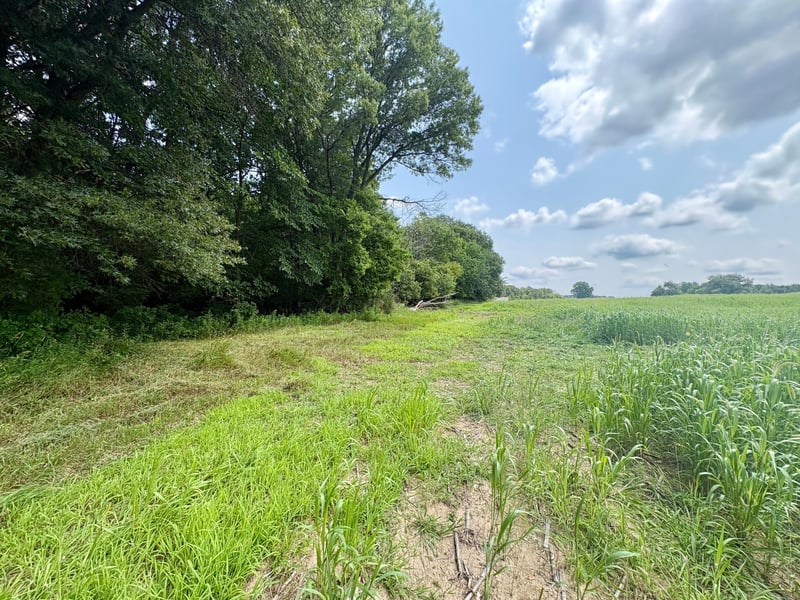 TBD 160th Ave, Salem Twp, WI 54750