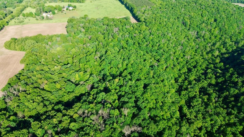 TBD 160th Ave, Salem Twp, WI 54750