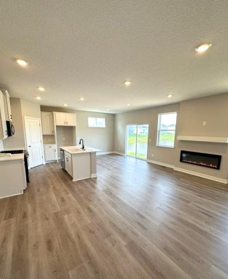 9776 47th Bay NE, Saint Michael, MN 55376
