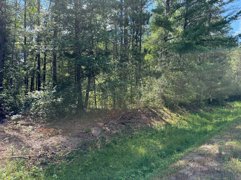 28393 County 93, Laporte, MN 56461