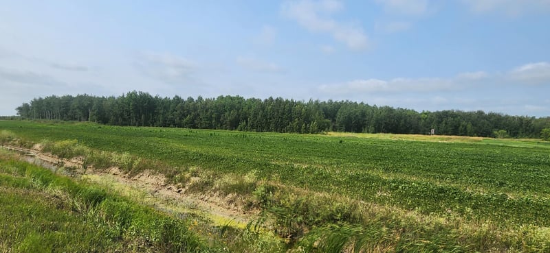 TBD 340th Ave NE, Goodridge, MN 56725
