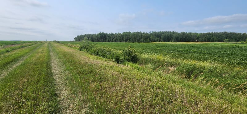 TBD 340th Ave NE, Goodridge, MN 56725