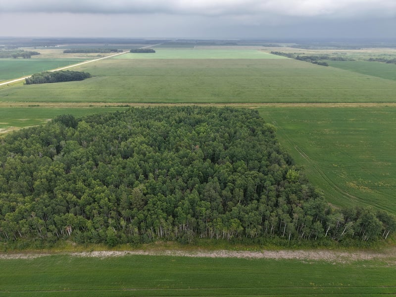 TBD 340th Ave NE, Goodridge, MN 56725