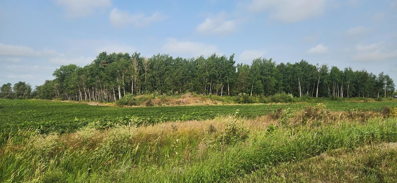 TBD 340th Ave NE, Goodridge, MN 56725