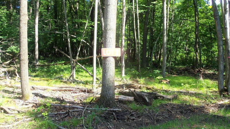 Lot 2 Howard Johnson Trl, Siren, WI 54872