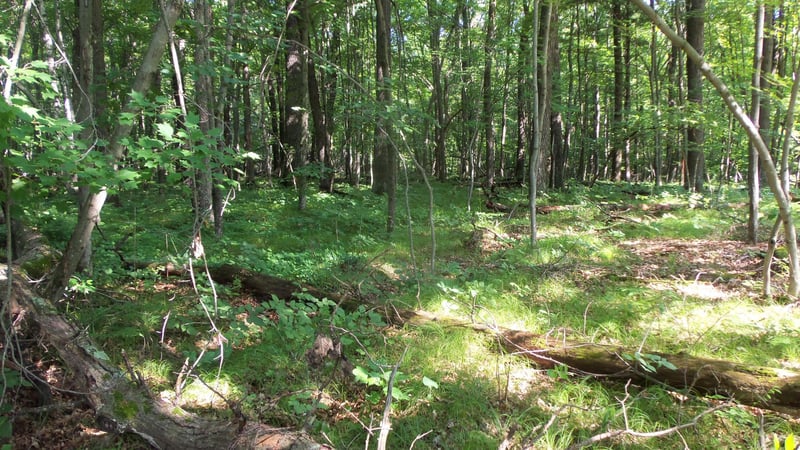 Lot 3 Howard Johnson Trl, Siren, WI 54872