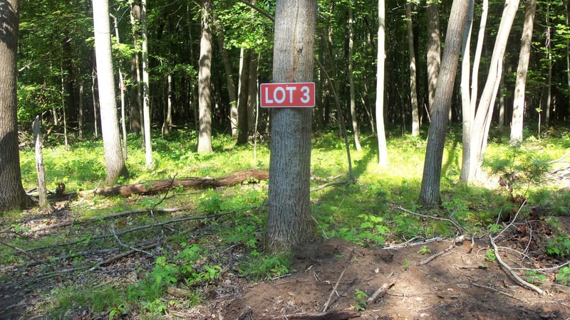 Lot 3 Howard Johnson Trl, Siren, WI 54872