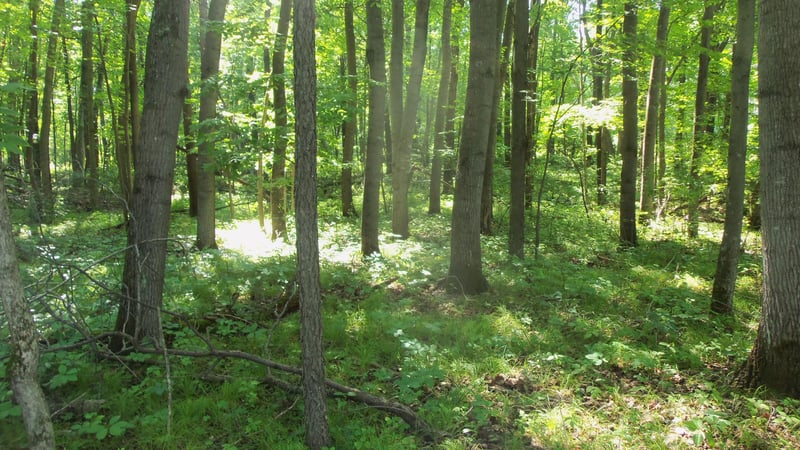 Lot 5 Howard Johnson Rd, Siren, WI 54872