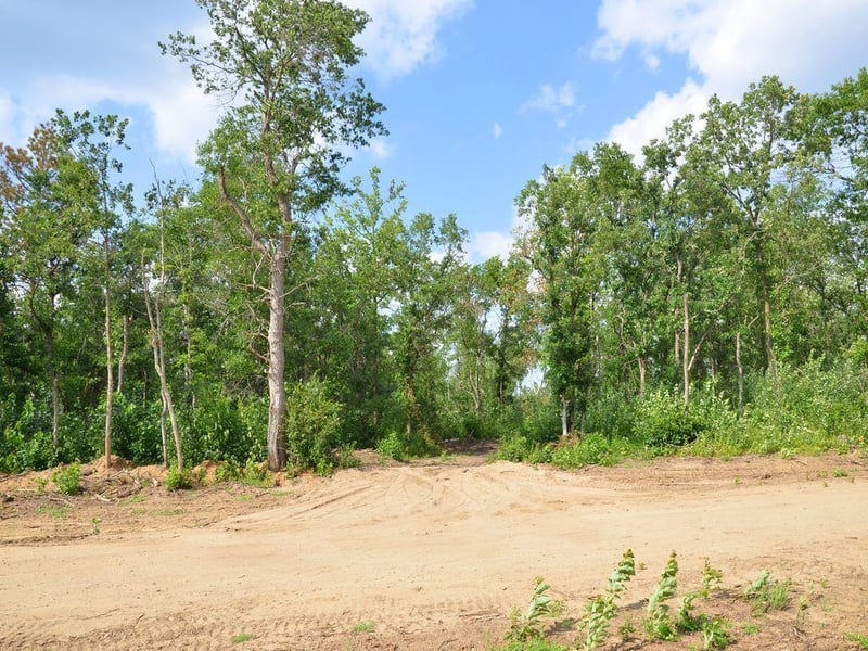 XXX Firewood Trl, Park Rapids, MN 56470