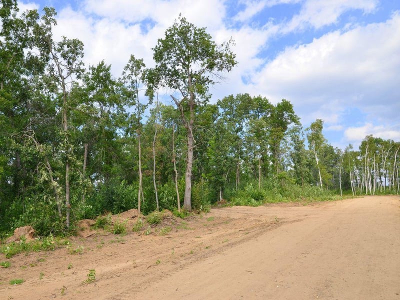 XXX Firewood Trl, Park Rapids, MN 56470