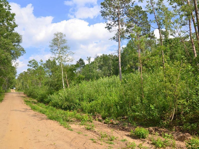 XYZ Firewood Trl, Park Rapids, MN 56470