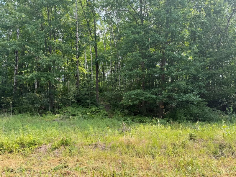 TBD Shady Pine Rd, Bruno, MN 55712