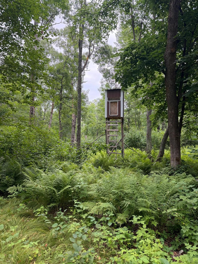 TBD Shady Pine Rd, Bruno, MN 55712