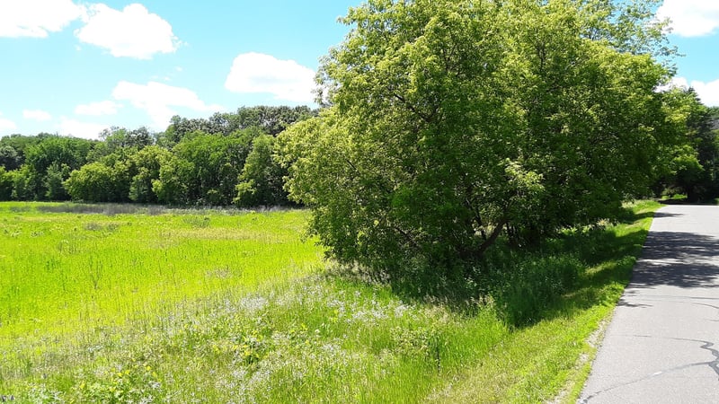 Lot 1 Block 2 Kettle River Blvd NE, Columbus, MN 55025