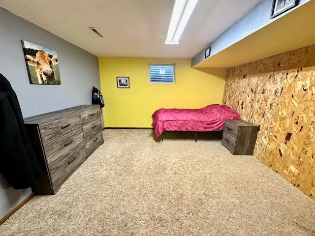 702 Champagne Ave SW, Red Lake Falls, MN 56750