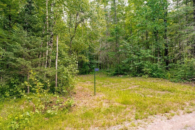 65454 Kingsdale Rd, Sandstone, MN 55072