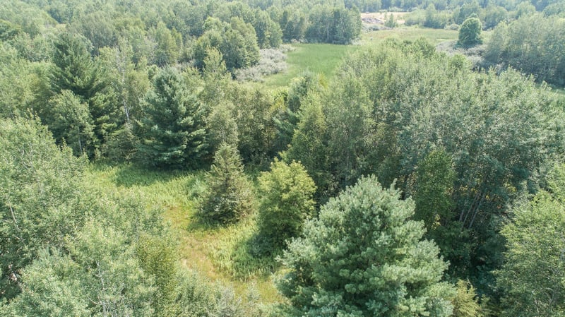 TBD Galaxy Ave, Harris, MN 55032