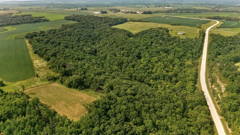 27714 County 25 S, Peterson, MN 55962