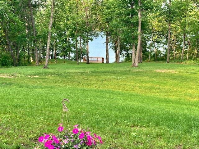 19566 Early Bird Dr, Park Rapids, MN 56470