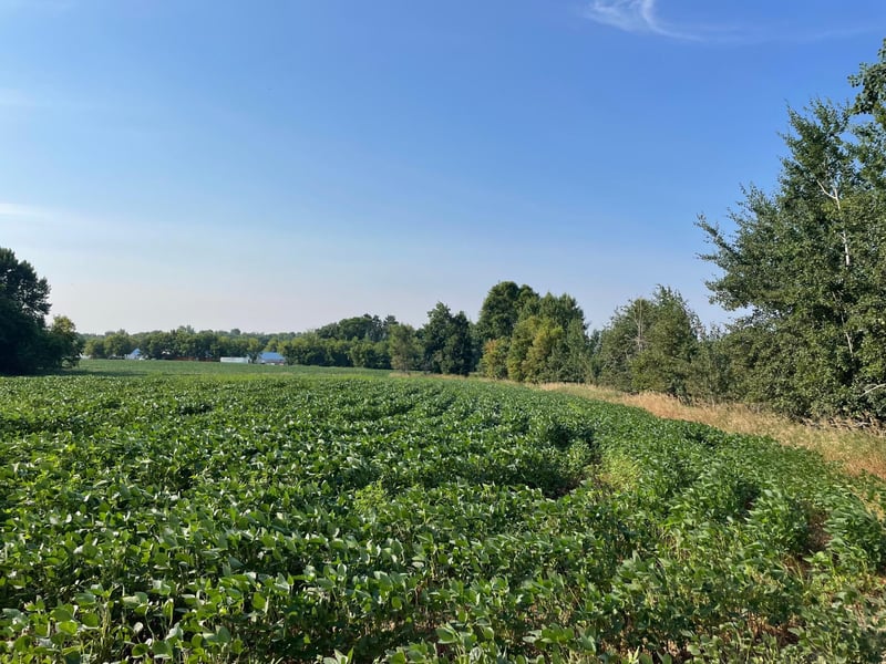 XXX 130th Ave, Milaca, MN 56353