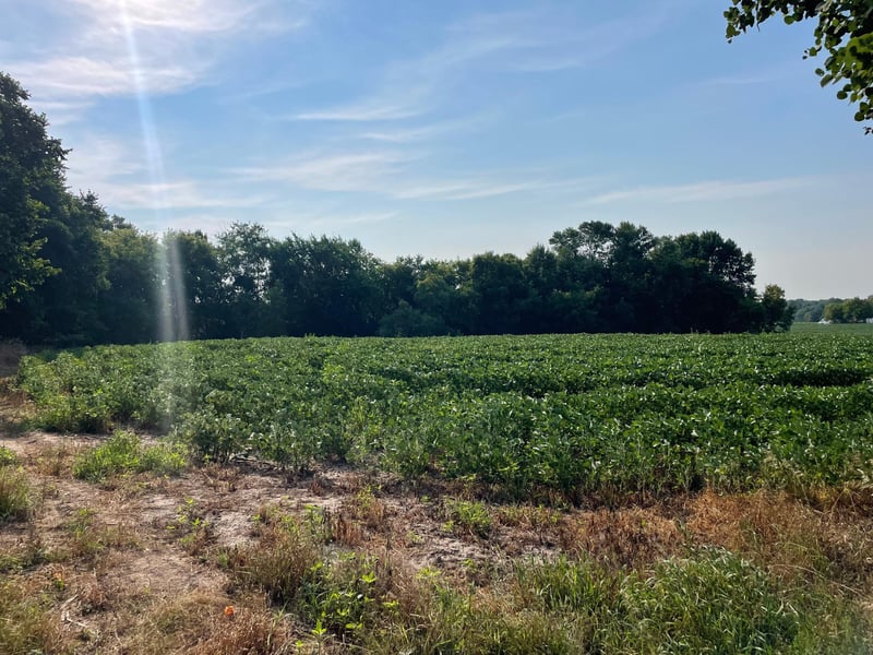 XXX 130th Ave, Milaca, MN 56353