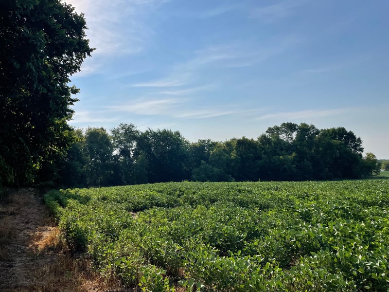 XXX 130th Ave, Milaca, MN 56353