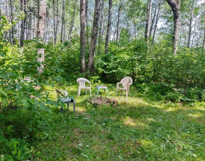 TBD1.2 Orr Buyck Rd, Buyck, MN 55771