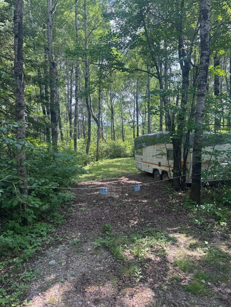 TBD1.2 Orr Buyck Rd, Buyck, MN 55771