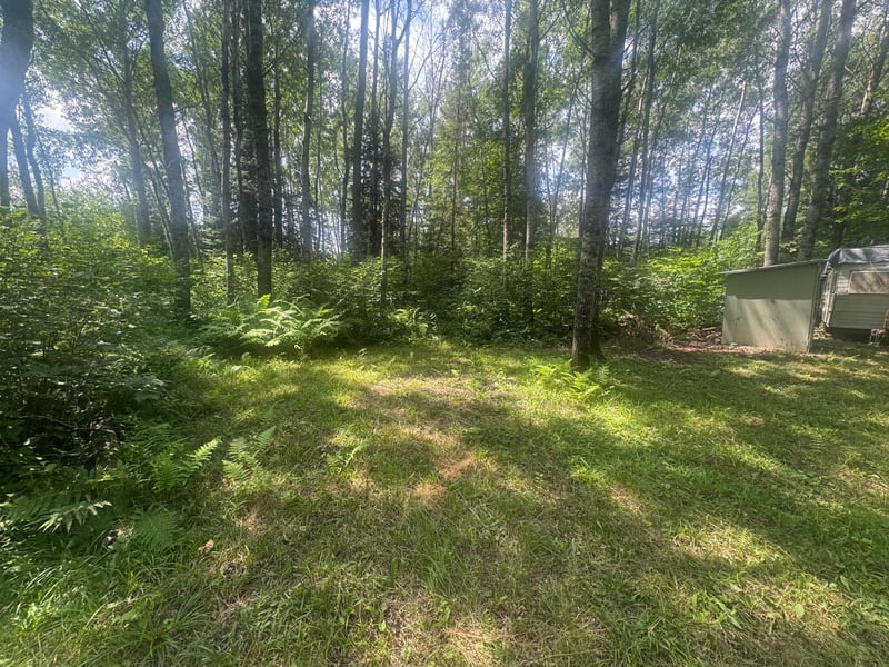 TBD1.2 Orr Buyck Rd, Buyck, MN 55771