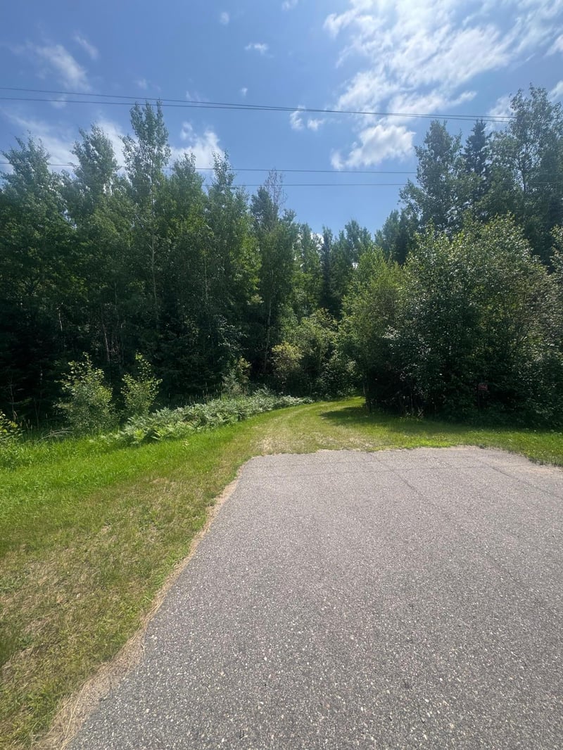 TBD1.2 Orr Buyck Rd, Buyck, MN 55771