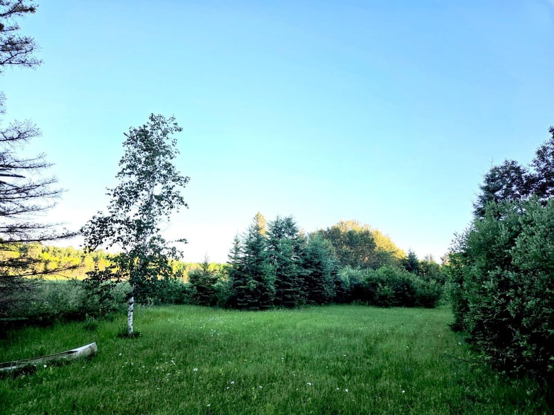 TBD 190th St, Bagley, MN 56621