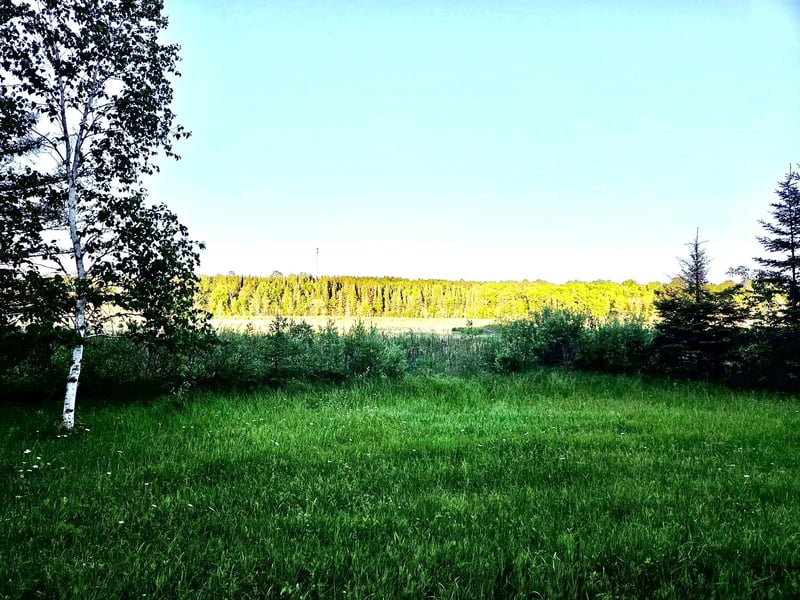 TBD 190th St, Bagley, MN 56621
