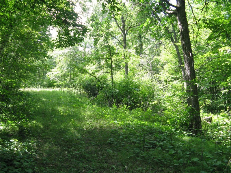 TBD Alpine Cir, Breezy Point, MN 56472