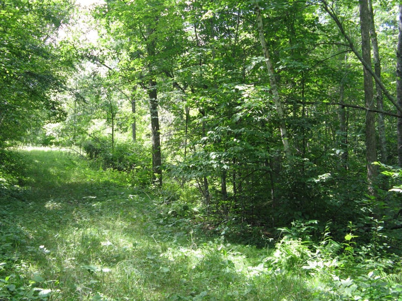 TBD Alpine Cir, Breezy Point, MN 56472