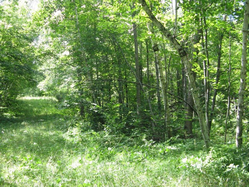 TBD Alpine Cir, Breezy Point, MN 56472