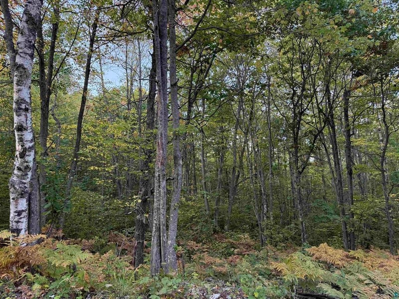000 Hwy 2, Bayfield, WI 54847