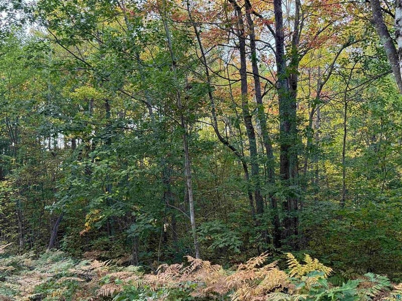 000 Hwy 2, Bayfield, WI 54847