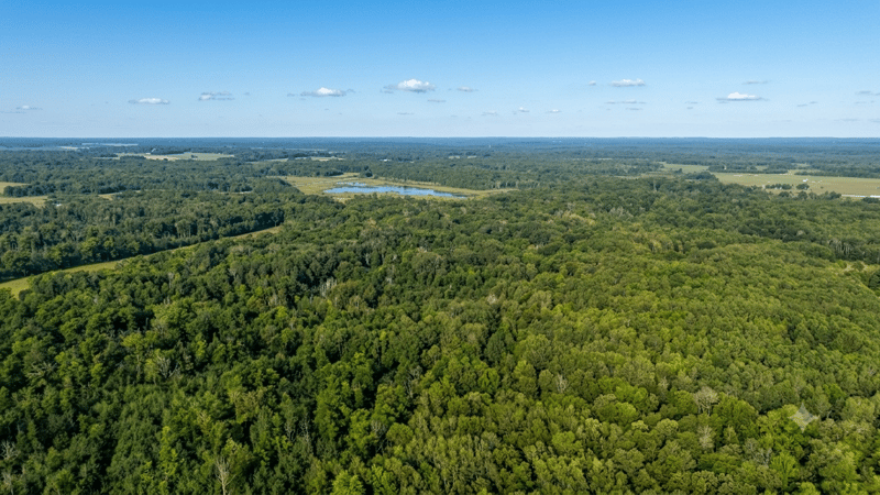 TBD Skyview St, Brook Park, MN 55007
