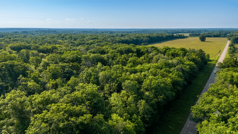 TBD Skyview St, Brook Park, MN 55007