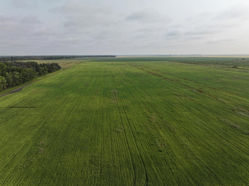 390th 390th St Nw, Stephen, MN 56757