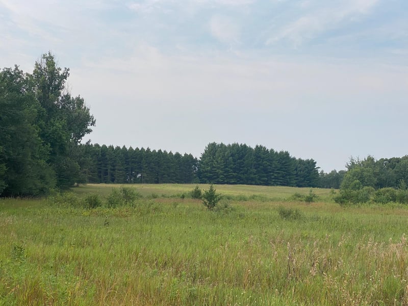 TBD 325th Avenue Nw, Princeton, MN 55371