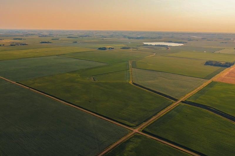 TBD 250th St, Alberta, MN 56207