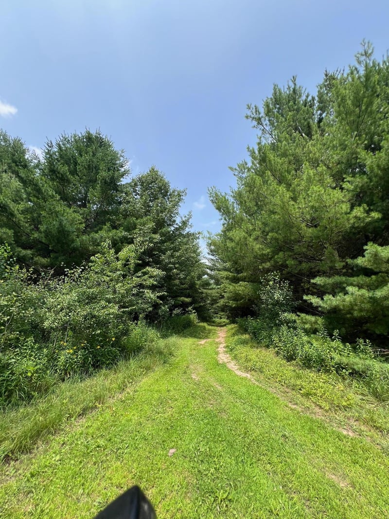 xxxxx Lily Lake Inn Rd, Webster, WI 54893