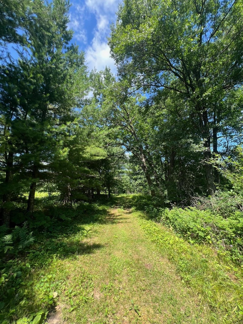 xxxxx Lily Lake Inn Rd, Webster, WI 54893